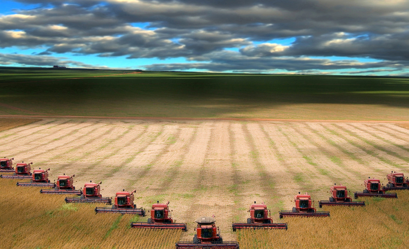 élevage intensif et agriculture